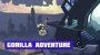 Gorilla Adventure Sistemos Reikalavimai